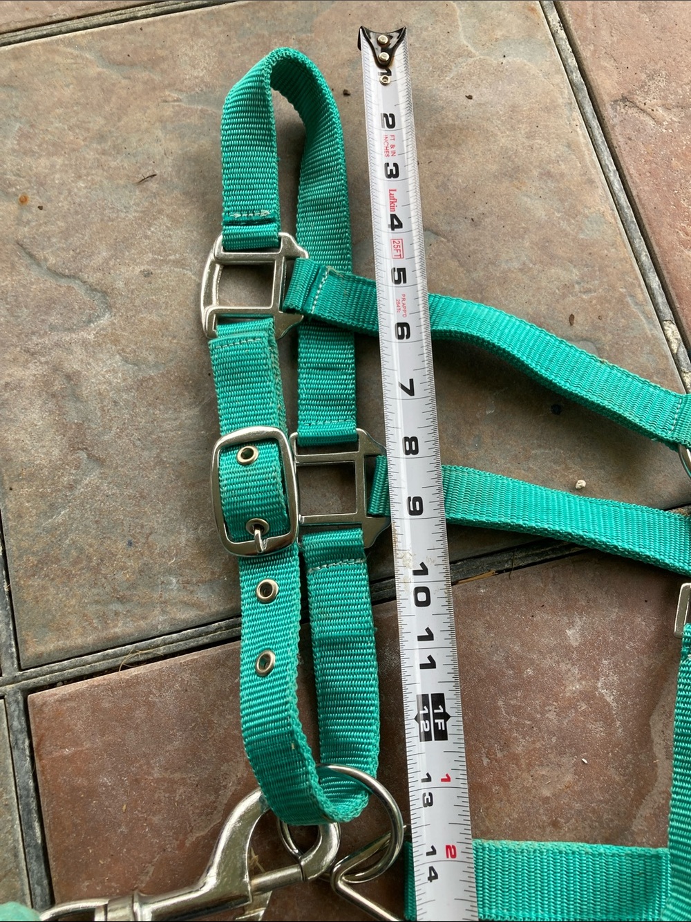 NWOT  Buckle nose Teal Horse Halter with Lead Rope - - Picture 2 of 5